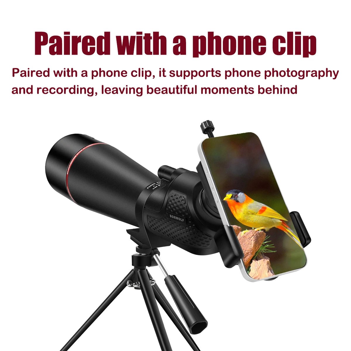 25–75x80 Waterproof Spotting Scope with Tripod – High-Power Zoom & BAK4 Prism - Velvet Haven