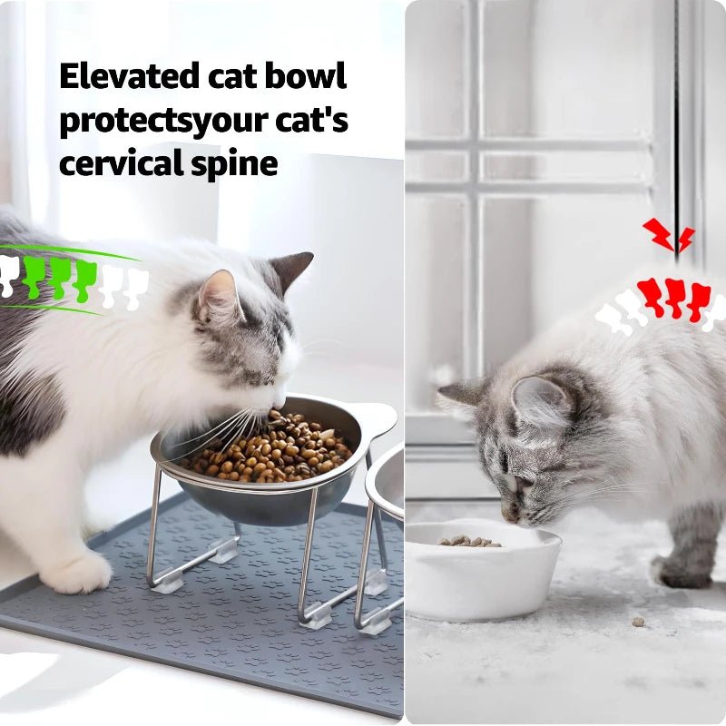 ‌304 Stainless Steel Raised Cat Bowl with 15° Elevated Design Tilted Neck Guard Healthy Feeding Shatterproof for Cats Puppies - Velvet Haven