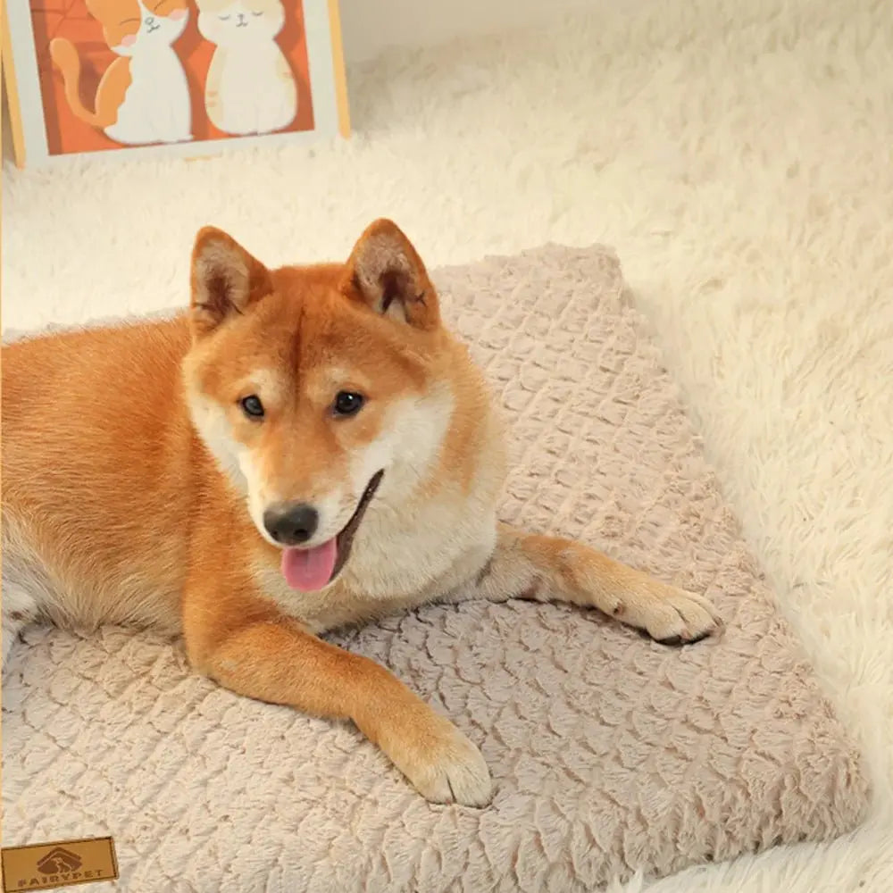 3D Foam Pet Bed With Removable Washable Faux Fur Cover Orthopedic Waterproof Dog Bed For Crate Anti-Slip Bottom Dog Bed - Velvet Haven