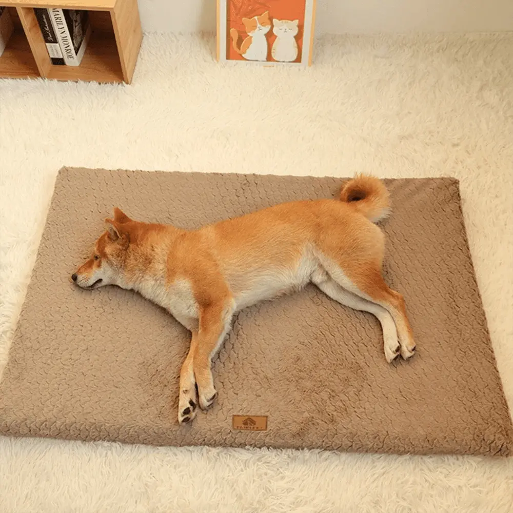 3D Foam Pet Bed With Removable Washable Faux Fur Cover Orthopedic Waterproof Dog Bed For Crate Anti-Slip Bottom Dog Bed - Velvet Haven
