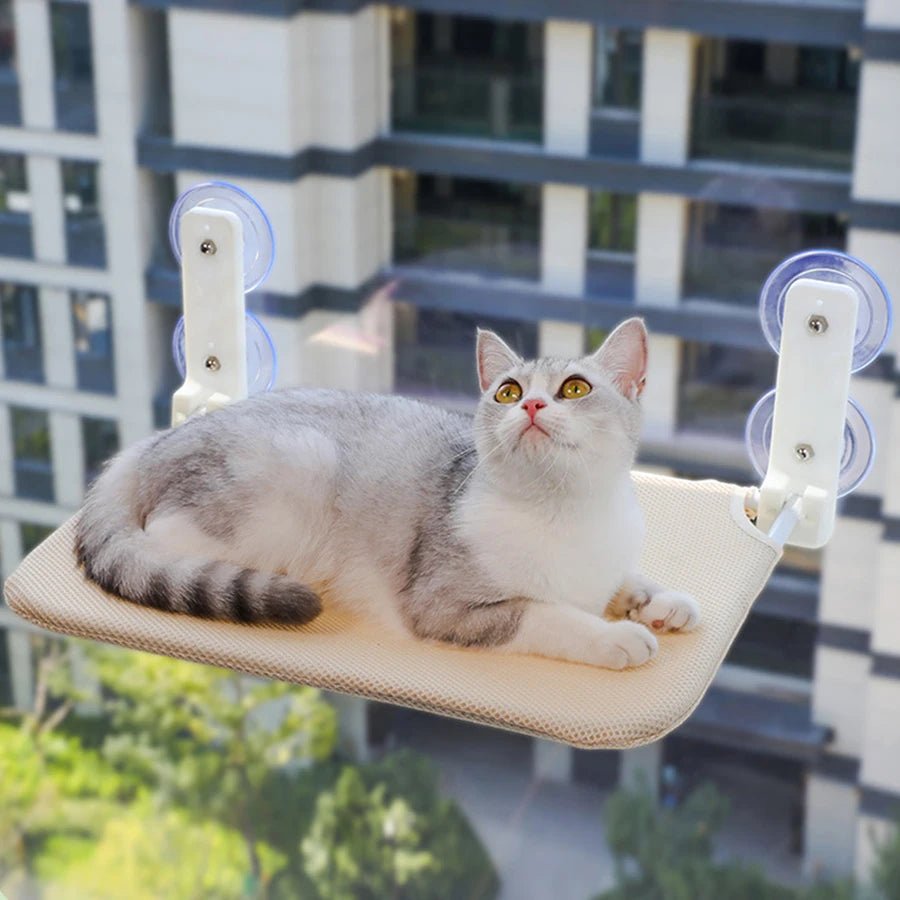 Assembly Free Folding Cat Hammock Plush Mesh Cat Window Wall Jumping Platform Double Suction Cup Cat Hammock - Velvet Haven