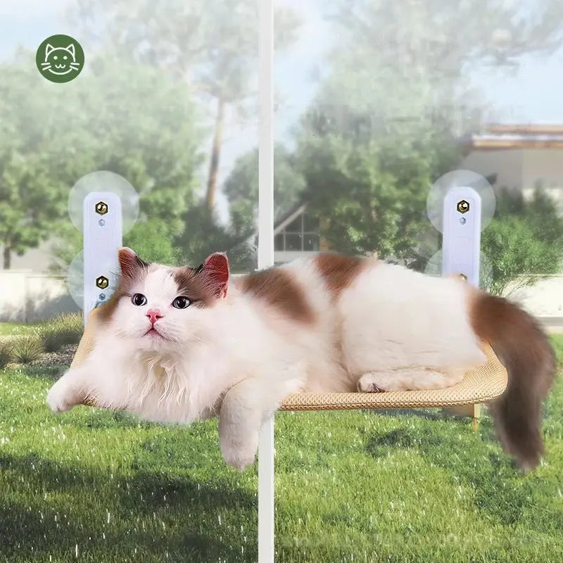 Cat hammock super suction cup swing sun can be removed and washed mattress windowsill glass hanging bed pet supplies - Velvet Haven