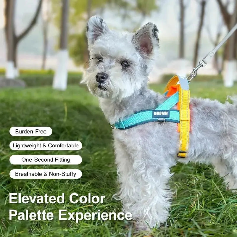 Dog Harness No Pull T-Shape Breathable Spring Summer Soft Padded Reflective Daily Outdoor Step In Walking Pet Harness Hiking - Velvet Haven