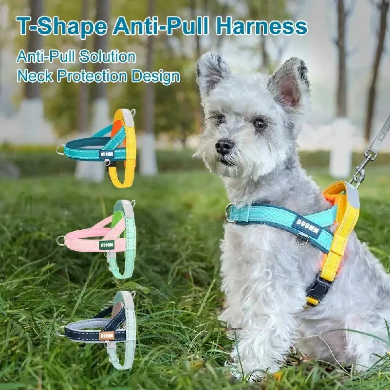 Dog Harness No Pull T-Shape Breathable Spring Summer Soft Padded Reflective Daily Outdoor Step In Walking Pet Harness Hiking - Velvet Haven