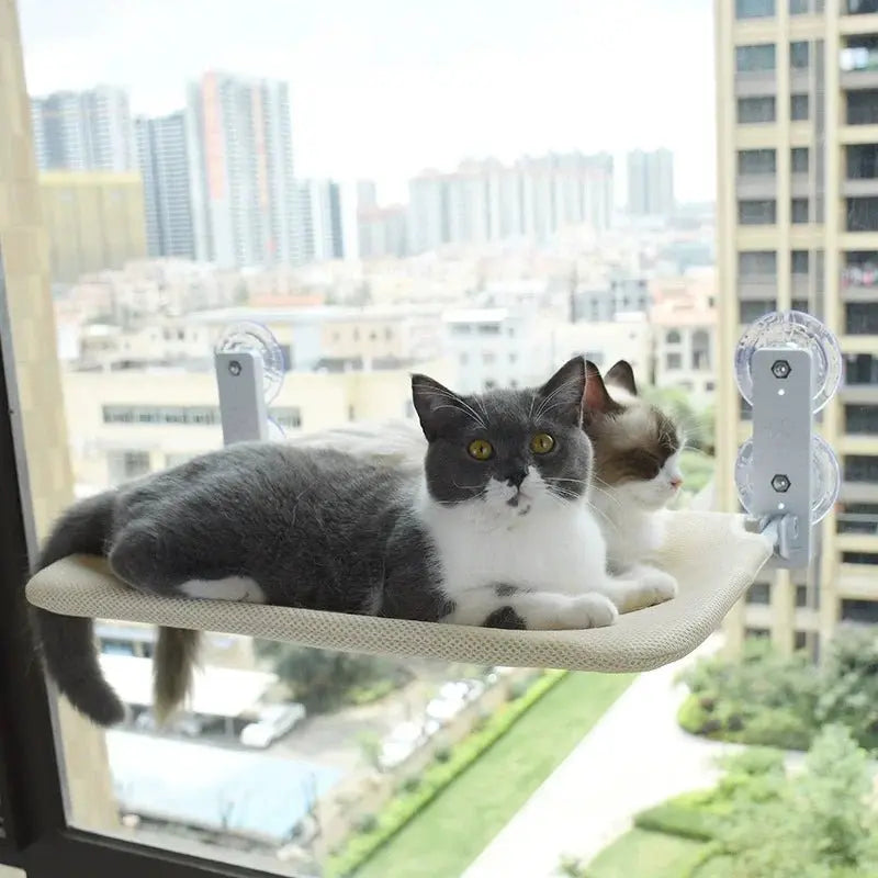 Foldable Cat Window Hammock Suction Cup Glass Balcony Hanging Bed Washable Sturdy Pet Lounge Sunbathing Nest Rest Seat For Cat - Velvet Haven