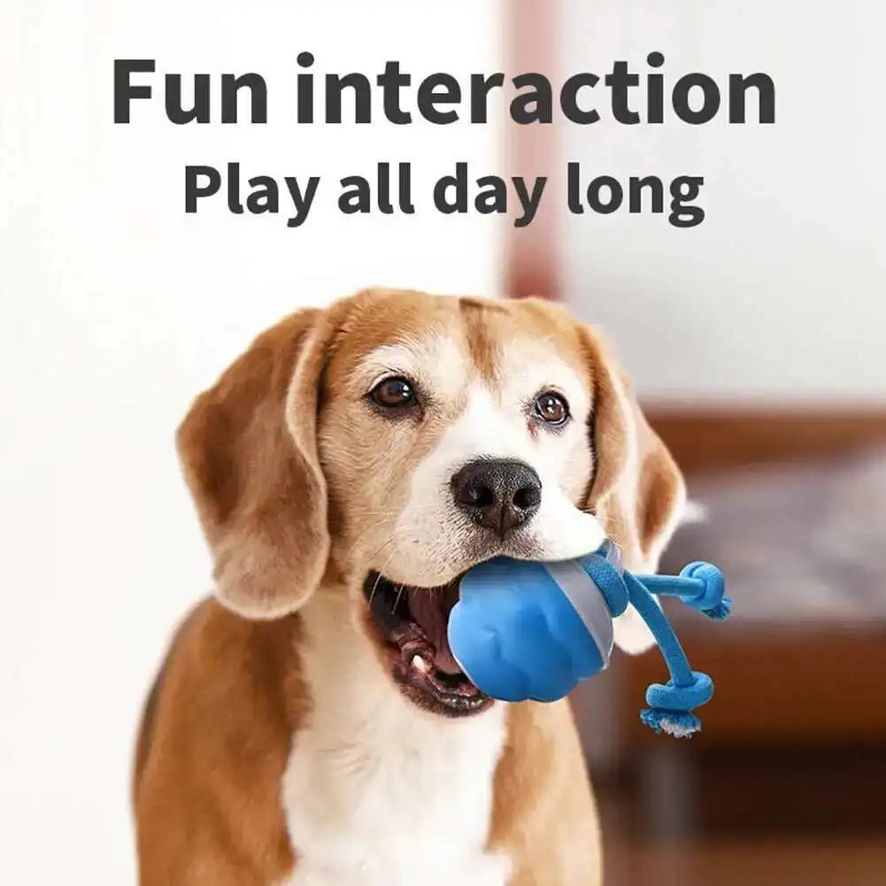Interactive Dog Toys Smart Rolling Ball With Rope Motion Activated Automatic Moving Squeaky Dog Training Puppy Chew Toy Balls - Velvet Haven
