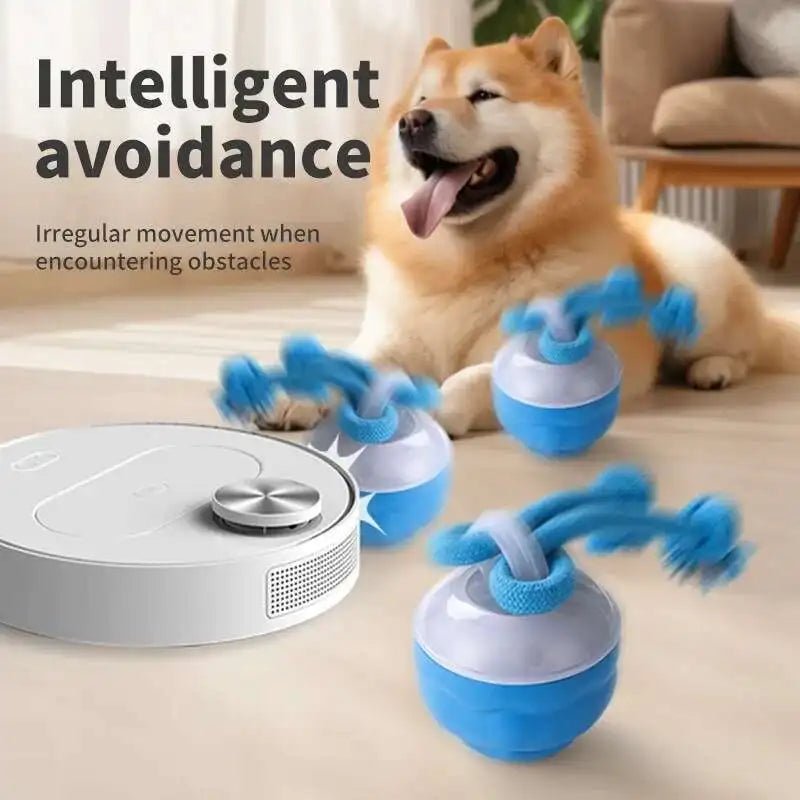 Interactive Dog Toys Smart Rolling Ball With Rope Motion Activated Automatic Moving Squeaky Dog Training Puppy Chew Toy Balls - Velvet Haven