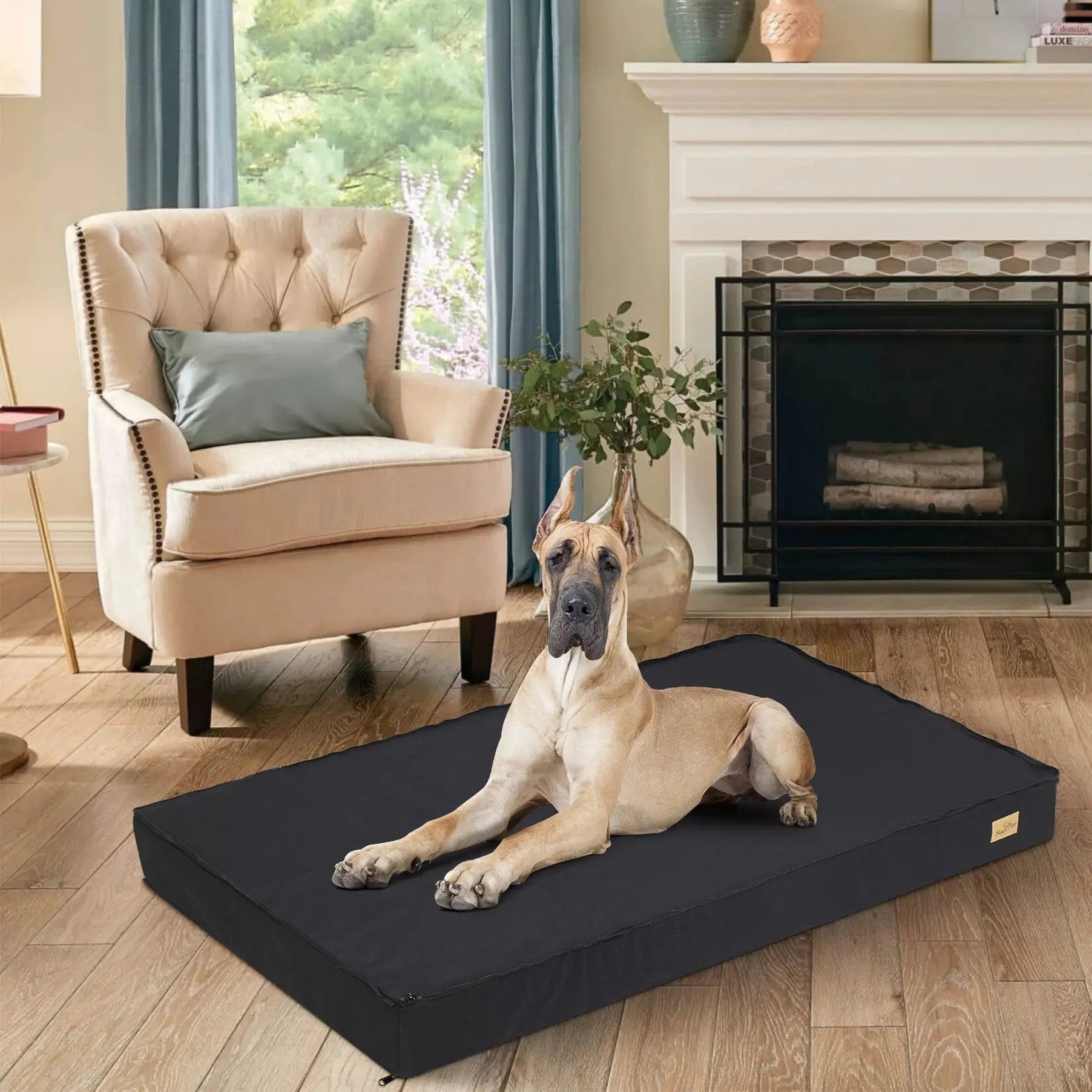 M L XL 2XL Dog Bed Jumbo Pet Orthopedic Bed Memory Foam Base Crate Mattess Cushion with Washable Cover Waterproof - Velvet Haven
