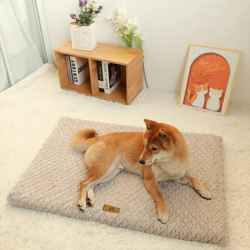 Memory Foam Pet Bed with Removable Washable Faux Fur Cover Orthopedic Waterproof Dog Bed for Crate Anti-Slip Bottom Dog Beds - Velvet Haven