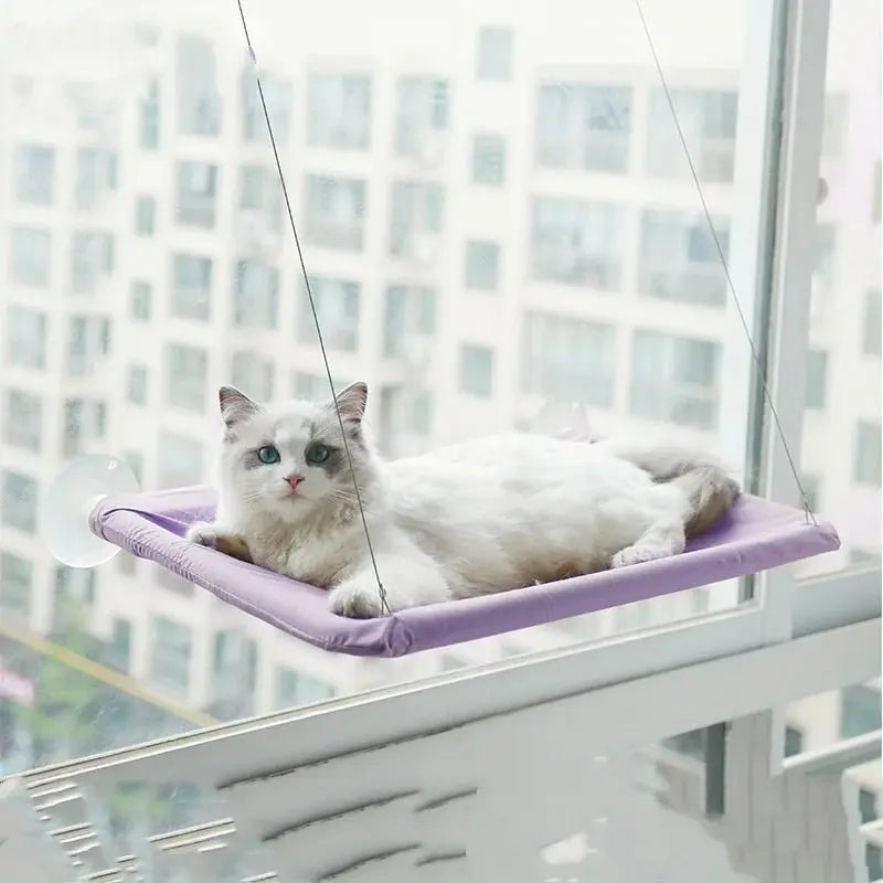 New pet cat hammock hanging cat bed bearing 20 kg comfortable sunny window seat kitten rock climbing frame pet supplies - Velvet Haven