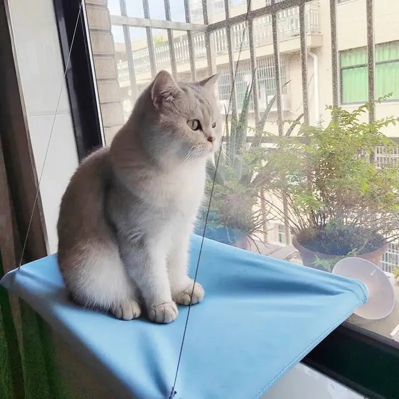 New pet cat hammock hanging cat bed bearing 20 kg comfortable sunny window seat kitten rock climbing frame pet supplies - Velvet Haven