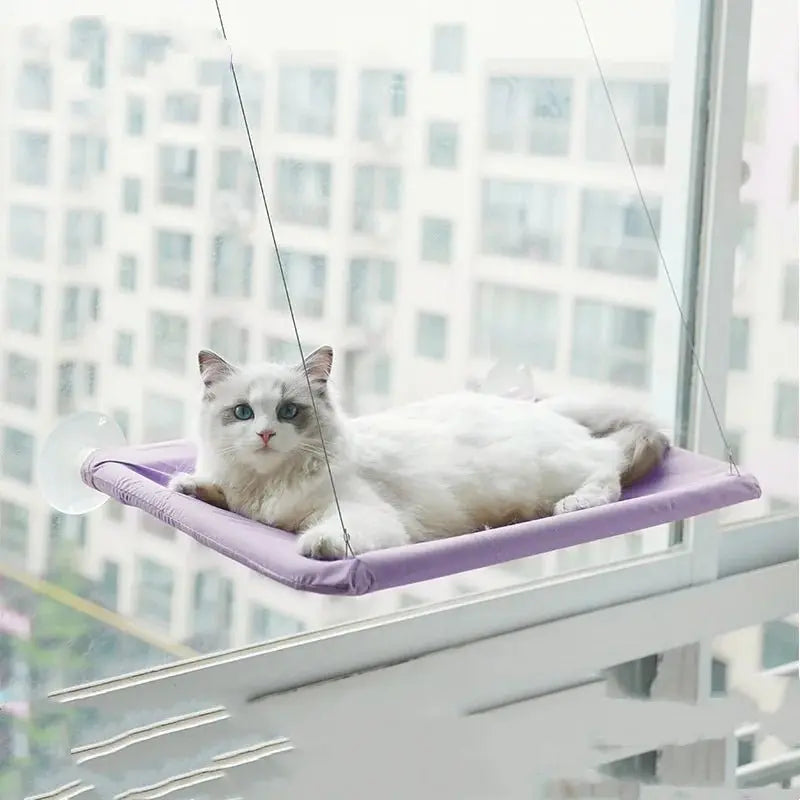 New pet cat hammock hanging cat bed bearing 20 kg comfortable sunny window seat kitten rock climbing frame pet supplies - Velvet Haven