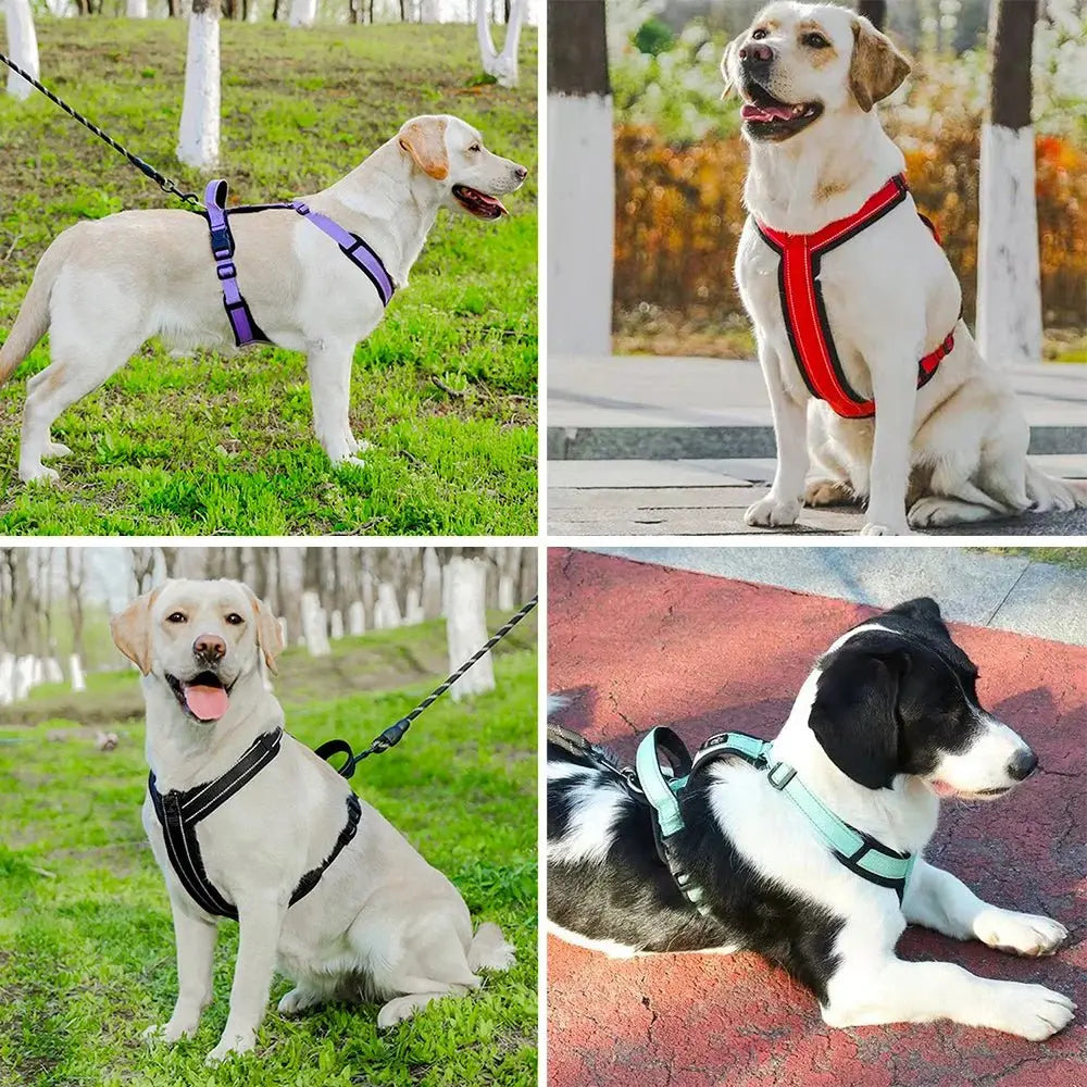 New Pet Dog Harness Reflective With Handle Easy Control Dog Vest Harness Adjustable Puppy Chest Straps for Small Medium Dogs - Velvet Haven