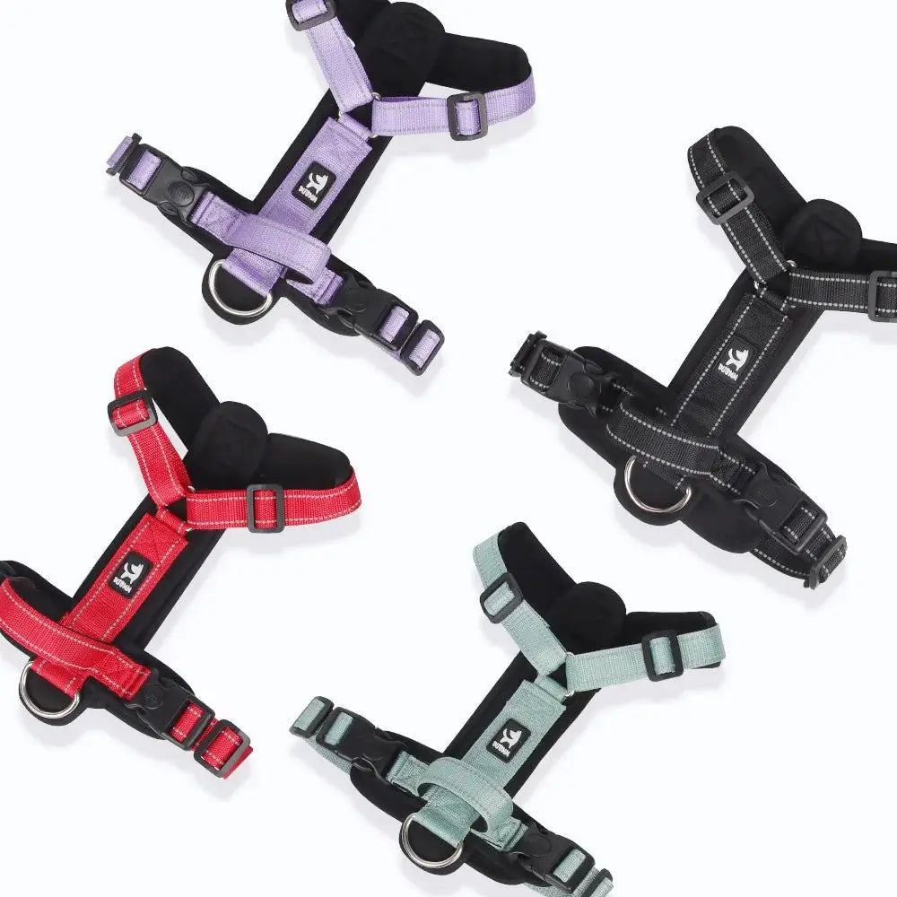 New Pet Dog Harness Reflective With Handle Easy Control Dog Vest Harness Adjustable Puppy Chest Straps for Small Medium Dogs - Velvet Haven