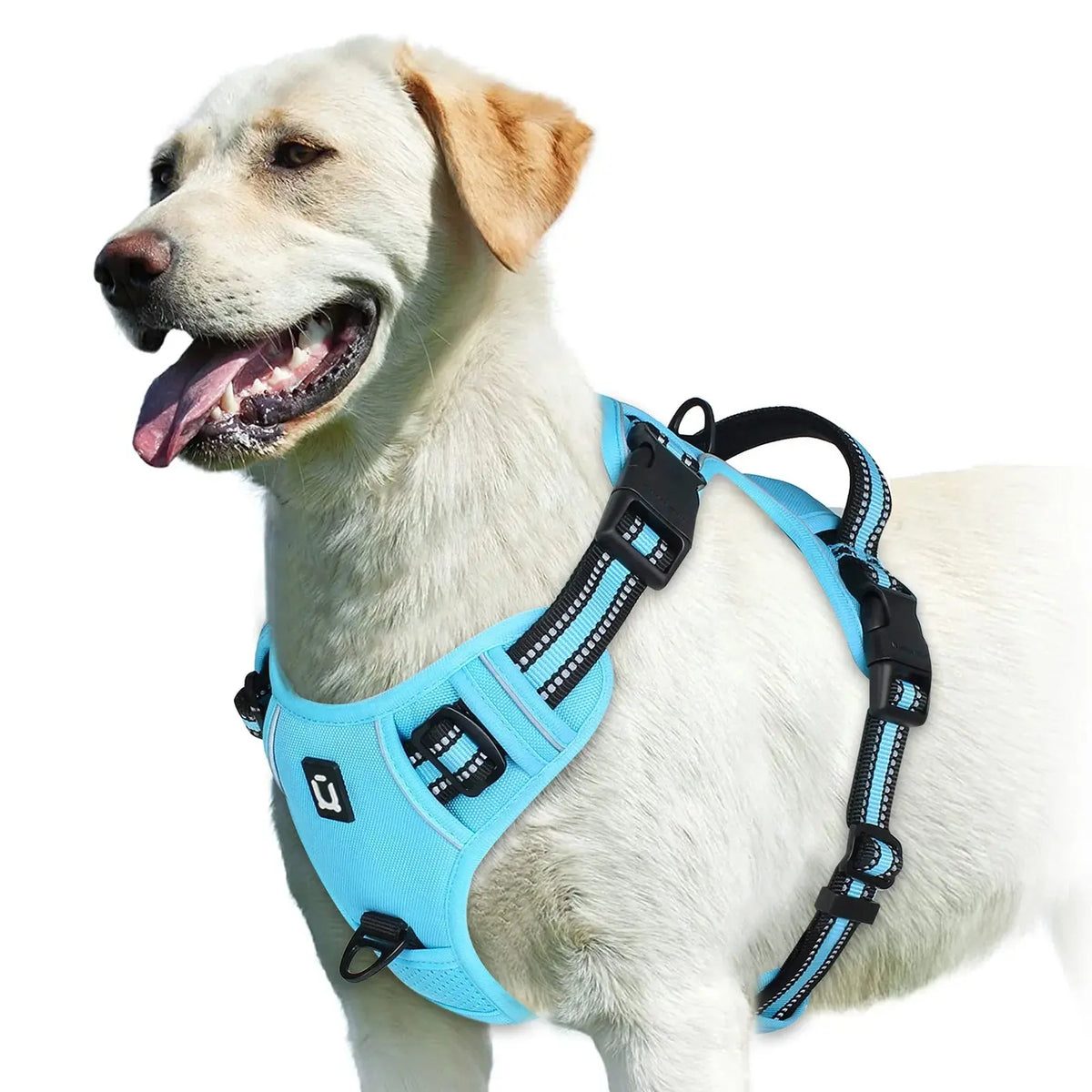 No Pull Dog Harness, Adjustable Soft Padded Pet Vest with Easy Control Handle - Velvet Haven