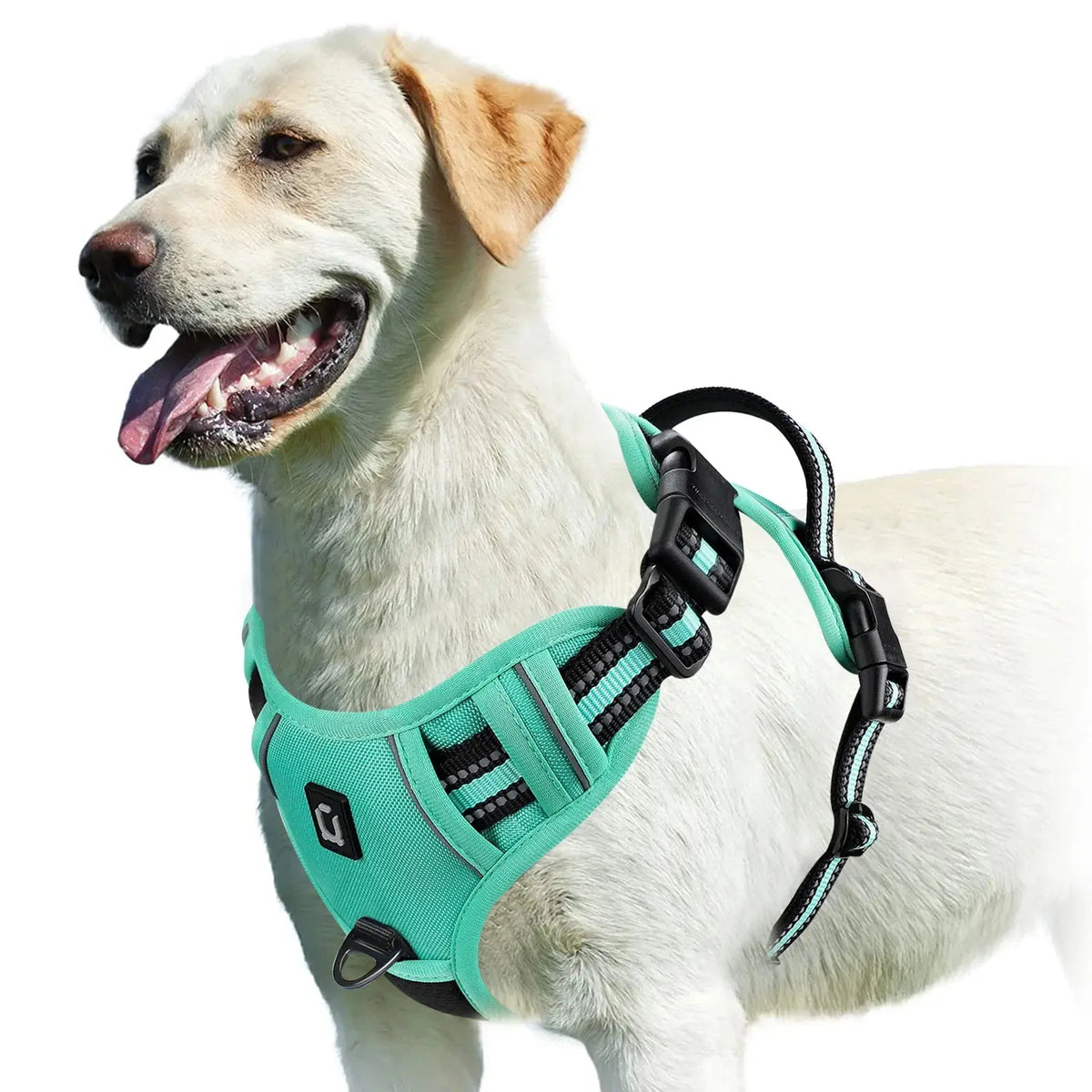 No Pull Dog Harness, Adjustable Soft Padded Pet Vest with Easy Control Handle - Velvet Haven
