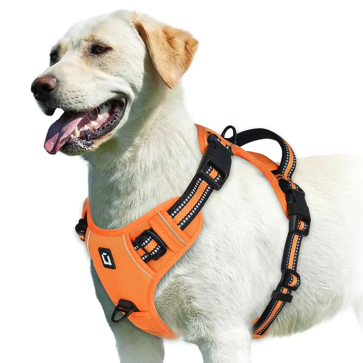 No Pull Dog Harness, Adjustable Soft Padded Pet Vest with Easy Control Handle - Velvet Haven
