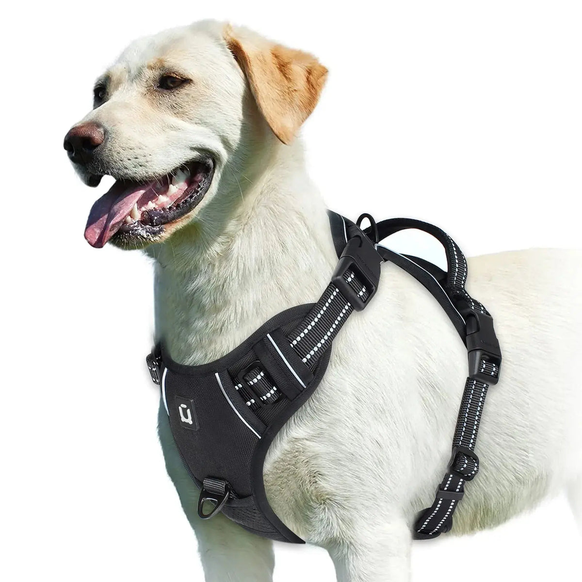 No Pull Dog Harness, Adjustable Soft Padded Pet Vest with Easy Control Handle - Velvet Haven