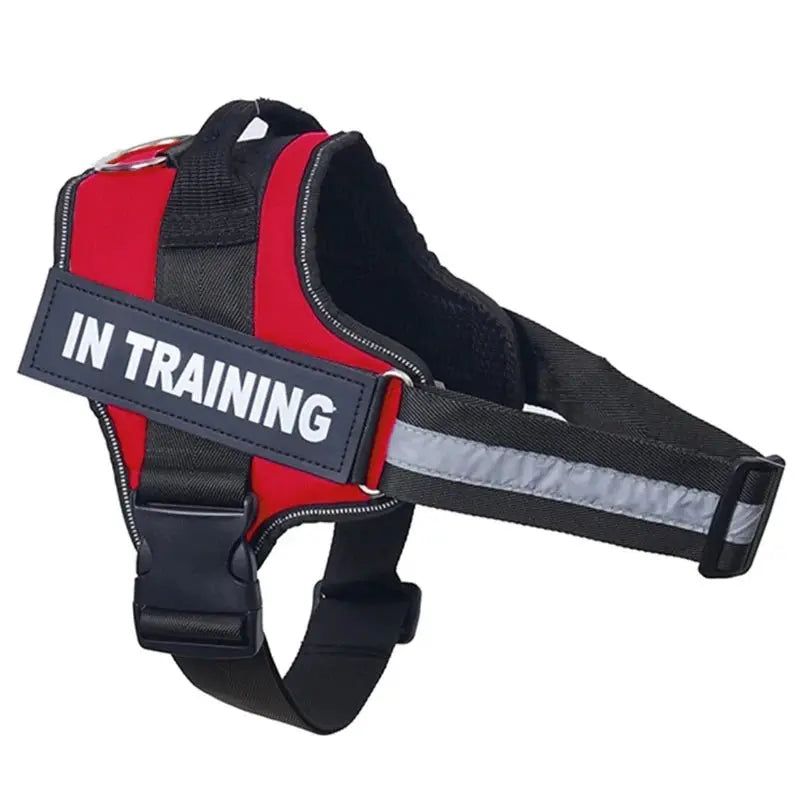 Personalized Dog Harness Reflective Adjustable No-Pull Pet Harness Vest For Small Medium Large Dogs wholesale harness - Velvet Haven