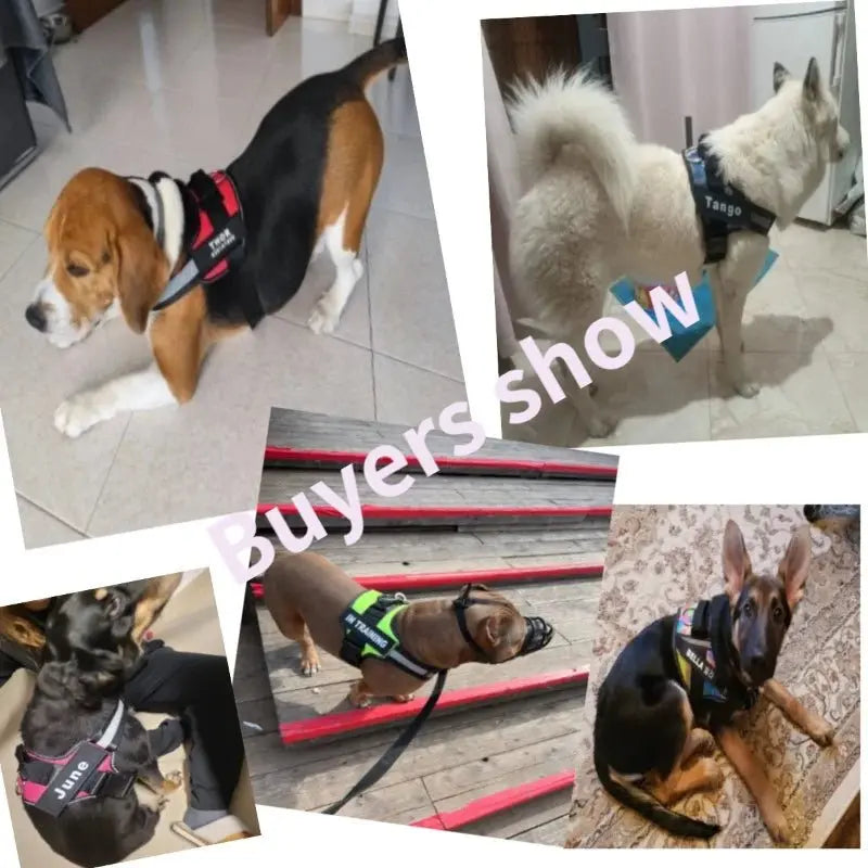 Personalized Dog Harness Reflective Adjustable No-Pull Pet Harness Vest For Small Medium Large Dogs wholesale harness - Velvet Haven