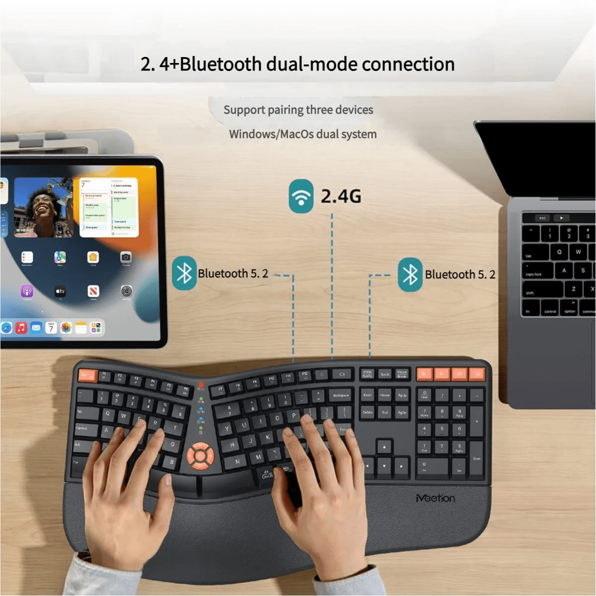 Premium Ergonomic Dual-Mode 2.4G/Bluetooth Rechargeable Keyboard And Mouse Combo,3 Colors Wrist Rest&Multimedia Keyboard Set - Velvet Haven