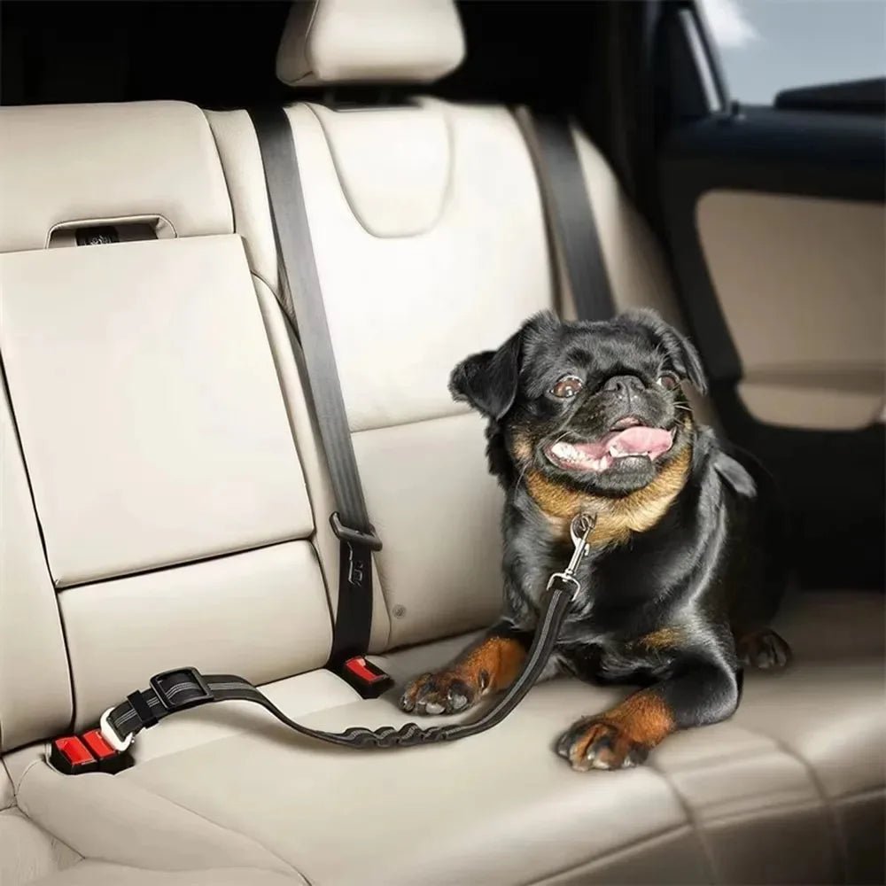 Reflective Adjustable Dog Car Seat Belt - Nylon Bungee Strap - Velvet Haven