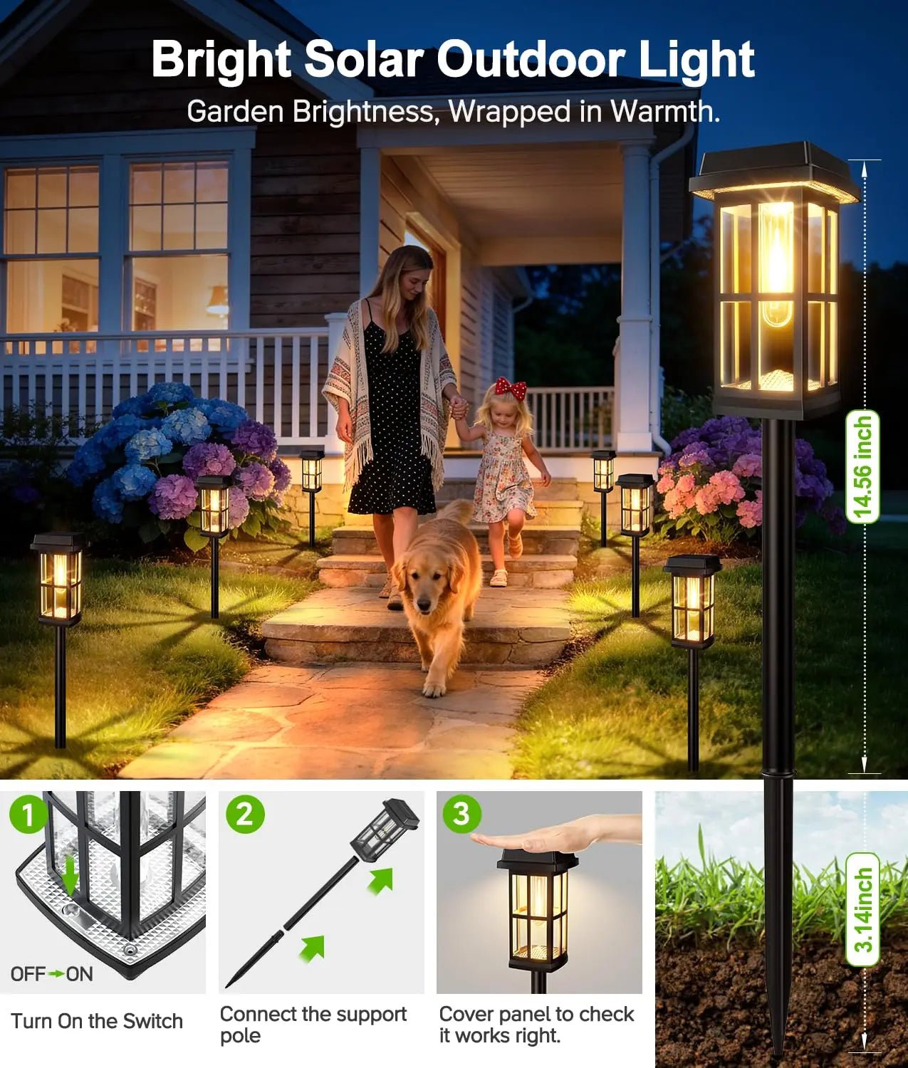 Solar Powered Pathway Lights 8 Pack IP65 Waterproof Auto On Off Outdoor Landscape Lighting Decorative Solar Garden Lamps for Patio Lawn Walkway Driveway Yard - Velvet Haven