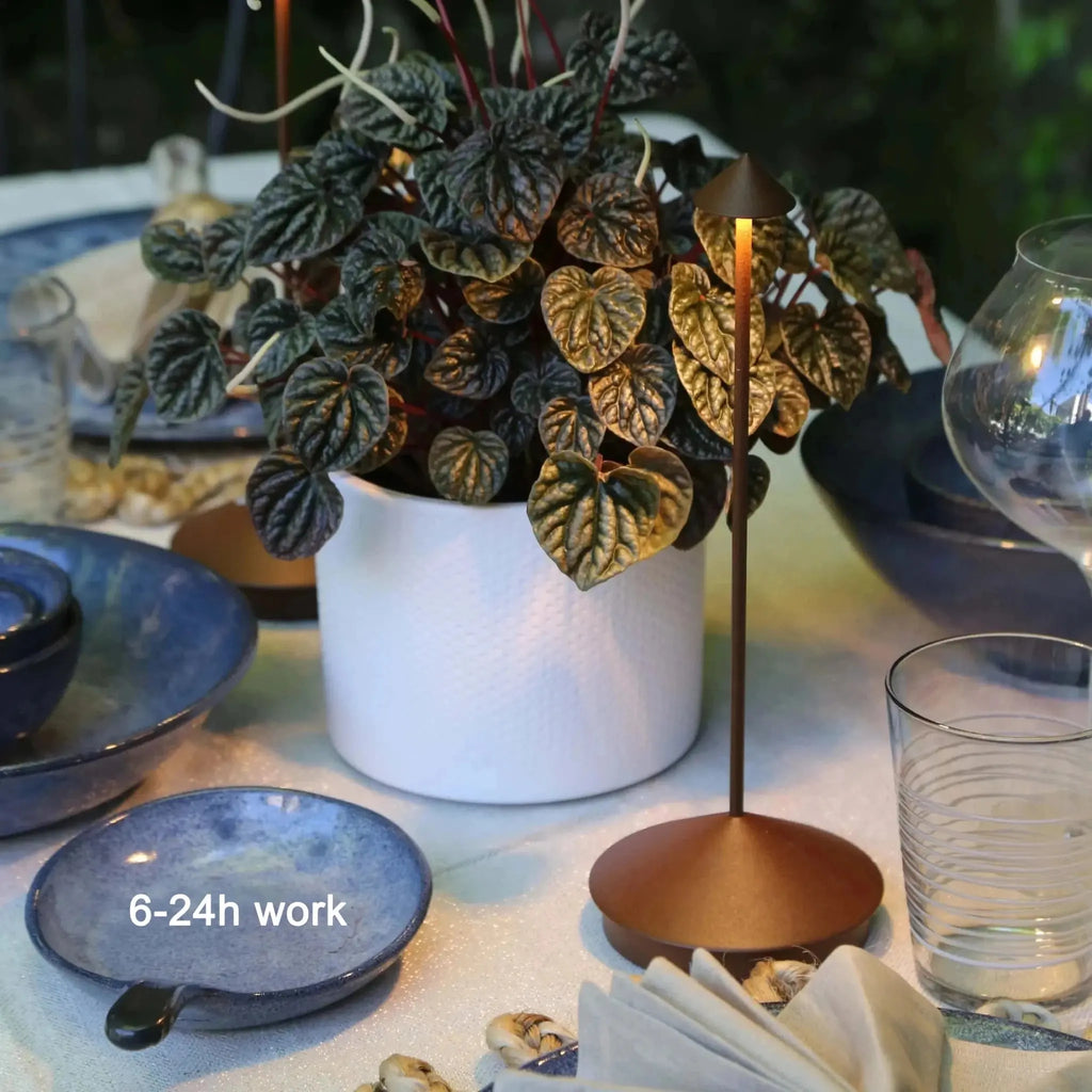 Type-C Rechargeable Table Lamp Creative Dining Touch Led Hotel Bar Coffee Pina pro Table Lamp Lampada Da Tavolo Decorative Lamp - Velvet Haven