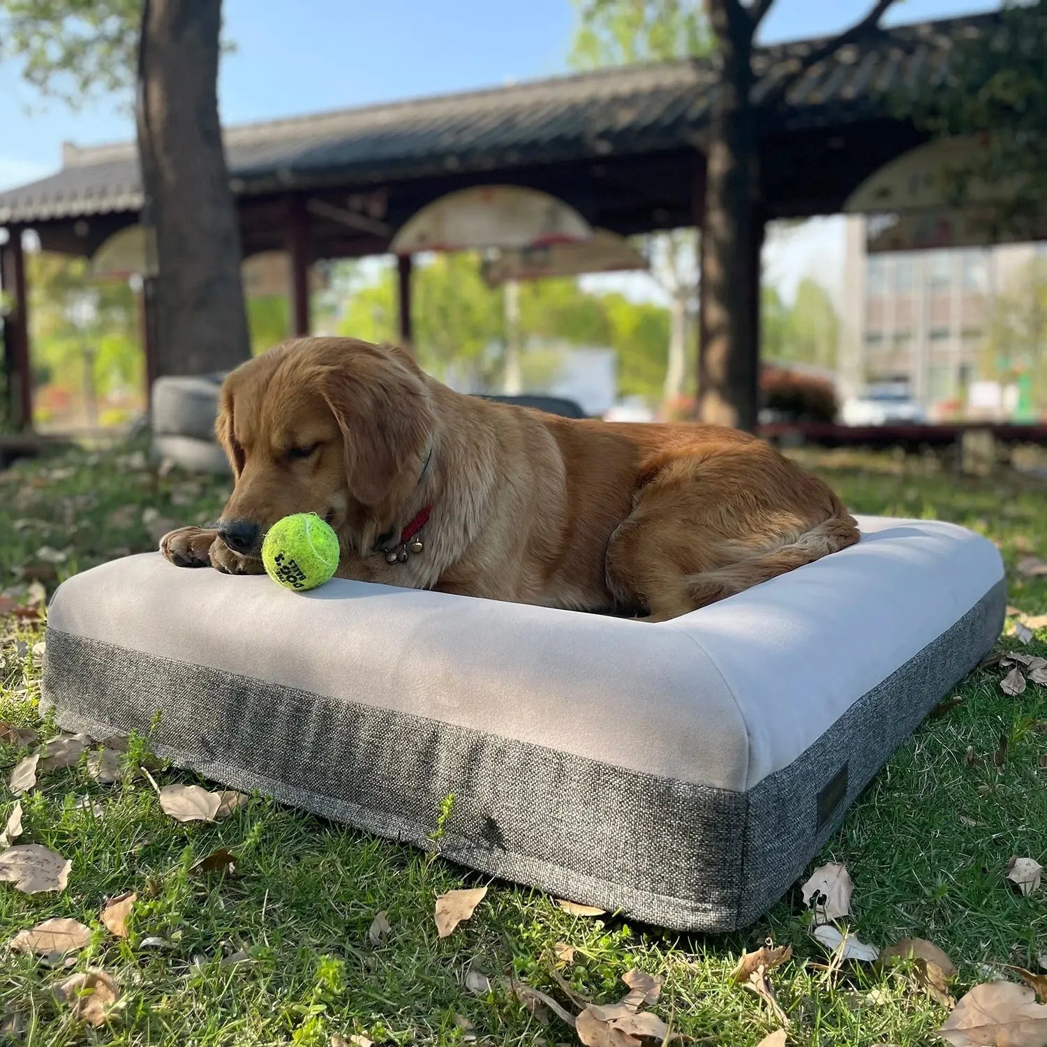 Waterproof Orthopedic Memory Foam Dog Bed Detachable Washable Cover Durable Pet Mattress - Velvet Haven